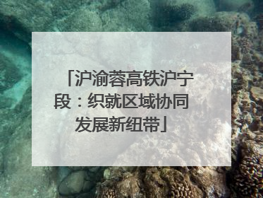 沪渝蓉高铁沪宁段：织就区域协同发展新纽带