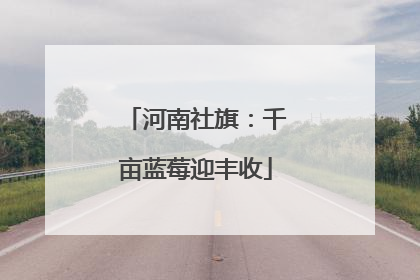 河南社旗：千亩蓝莓迎丰收