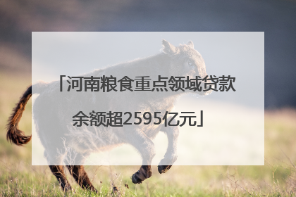 河南粮食重点领域贷款余额超2595亿元