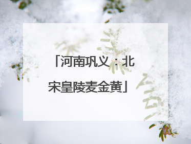 河南巩义：北宋皇陵麦金黄
