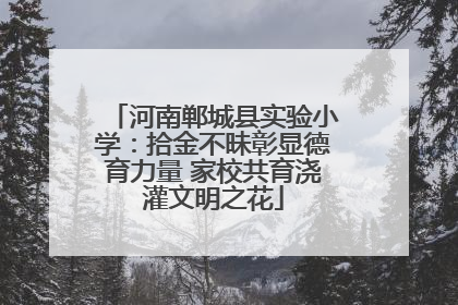河南郸城县实验小学：拾金不昧彰显德育力量 家校共育浇灌文明之花