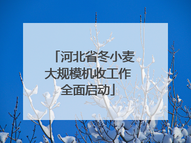 河北省冬小麦大规模机收工作全面启动