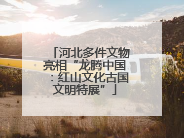 河北多件文物亮相“龙腾中国：红山文化古国文明特展”