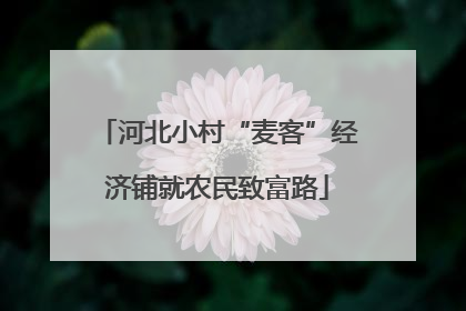 河北小村“麦客”经济铺就农民致富路