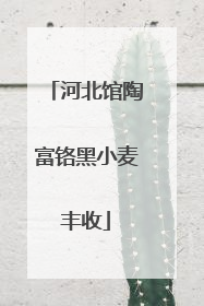 河北馆陶富铬黑小麦丰收