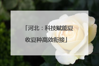 河北：科技赋能夏收夏种高效衔接