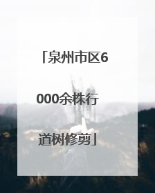 泉州市区6000余株行道树修剪
