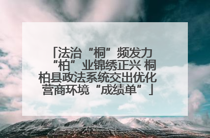 法治“桐”频发力 “柏”业锦绣正兴 桐柏县政法系统交出优化营商环境“成绩单”