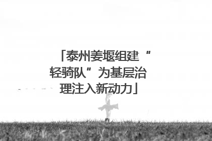 泰州姜堰组建“轻骑队”为基层治理注入新动力