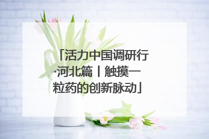 活力中国调研行·河北篇丨触摸一粒药的创新脉动