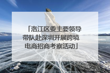洛江区委主要领导带队赴深圳开展跨境电商招商考察活动