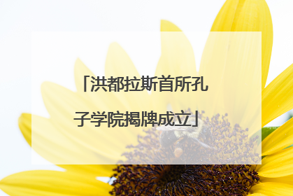 洪都拉斯首所孔子学院揭牌成立
