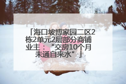 海口坡博家园二区2栋2单元2层部分商铺业主：“交房10个月未通自来水”