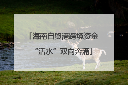 海南自贸港跨境资金“活水”双向奔涌