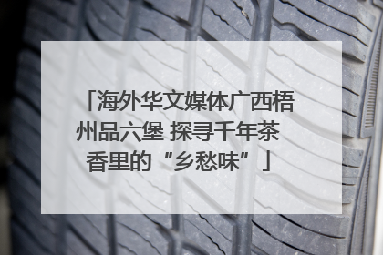 海外华文媒体广西梧州品六堡 探寻千年茶香里的“乡愁味”