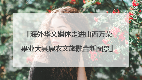 海外华文媒体走进山西万荣 果业大县展农文旅融合新图景