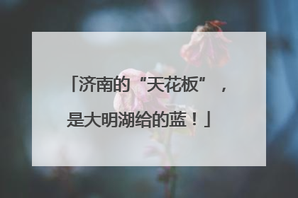 济南的“天花板”，是大明湖给的蓝！