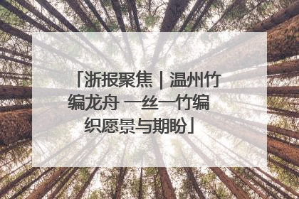 浙报聚焦｜温州竹编龙舟 一丝一竹编织愿景与期盼