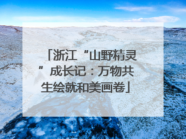 浙江“山野精灵”成长记：万物共生绘就和美画卷