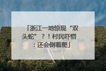 浙江一地惊现“双头蛇”？！村民吓懵：还会倒着爬