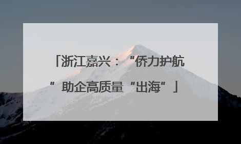 浙江嘉兴：“侨力护航”助企高质量“出海”