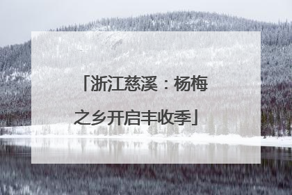 浙江慈溪：杨梅之乡开启丰收季