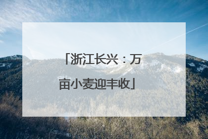 浙江长兴：万亩小麦迎丰收