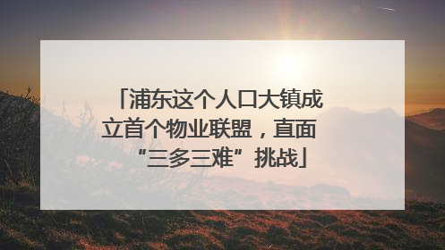 浦东这个人口大镇成立首个物业联盟，直面“三多三难”挑战