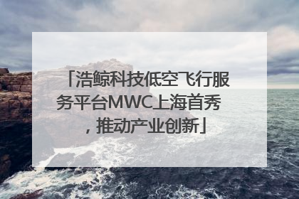 浩鲸科技低空飞行服务平台MWC上海首秀，推动产业创新