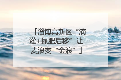 淄博高新区“滴灌+氮肥后移”让麦浪变“金浪”