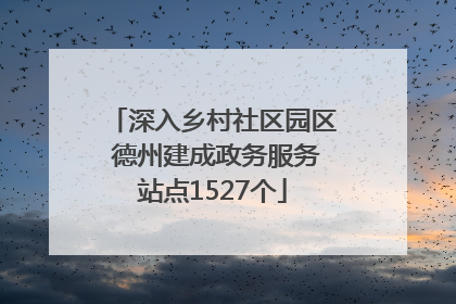 深入乡村社区园区 德州建成政务服务站点1527个