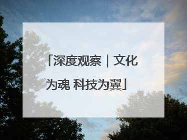 深度观察｜文化为魂 科技为翼