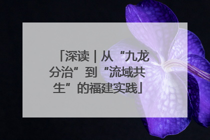 深读｜从“九龙分治”到“流域共生”的福建实践