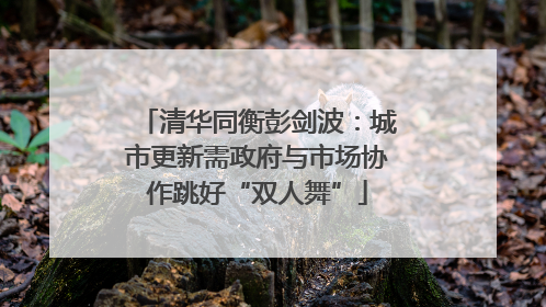 清华同衡彭剑波：城市更新需政府与市场协作跳好“双人舞”