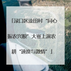 渌口区淦田村“同心振农兴粮”大赛上演农耕“速度与激情”