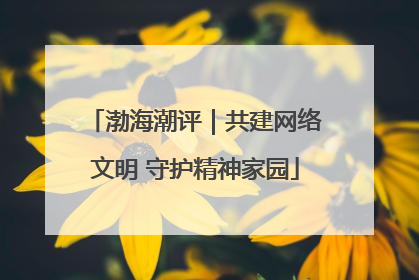 渤海潮评｜共建网络文明 守护精神家园