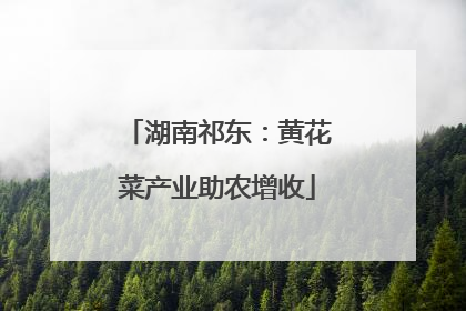 湖南祁东：黄花菜产业助农增收