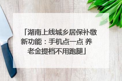 湖南上线城乡居保补缴新功能：手机点一点 养老金提档不用跑腿