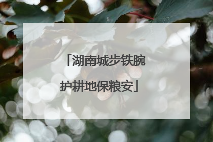 湖南城步铁腕护耕地保粮安