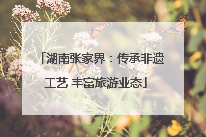 湖南张家界：传承非遗工艺 丰富旅游业态