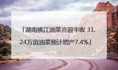 湖南桃江油菜喜迎丰收 31.24万亩油菜预计增产7.4%