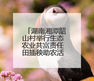 湖南湘潭韶山村举行生态农业共富责任田插秧助农活动
