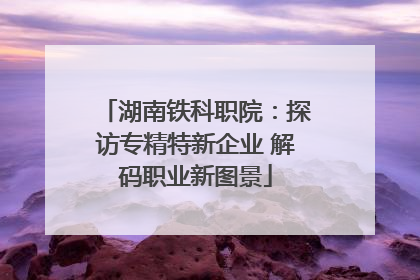 湖南铁科职院：探访专精特新企业 解码职业新图景