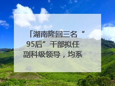 湖南隆回三名“95后”干部拟任副科级领导，均系硕士选调生