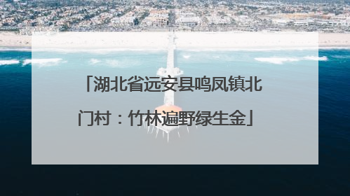 湖北省远安县鸣凤镇北门村：竹林遍野绿生金