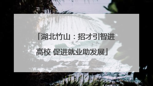 湖北竹山：招才引智进高校 促进就业助发展