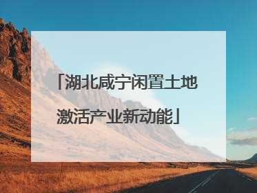湖北咸宁闲置土地激活产业新动能