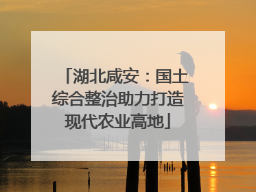 湖北咸安：国土综合整治助力打造现代农业高地