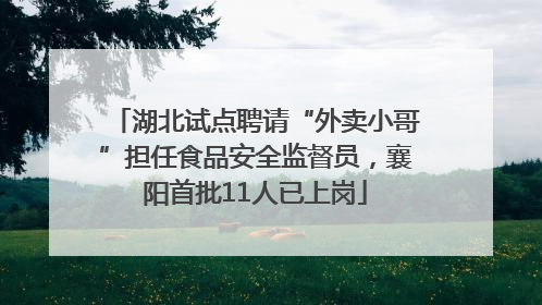 湖北试点聘请“外卖小哥”担任食品安全监督员，襄阳首批11人已上岗