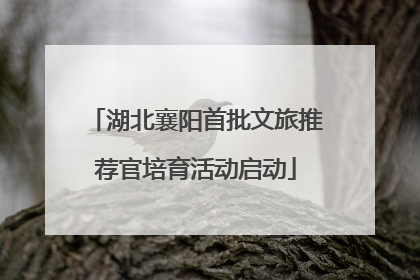 湖北襄阳首批文旅推荐官培育活动启动